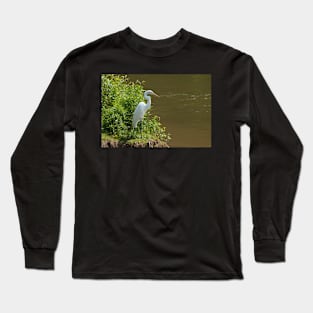 Great White Long Sleeve T-Shirt